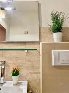 多尔梅莱托Bnbook Lago Maggiore Studio 2的浴室墙上有两株盆栽植物