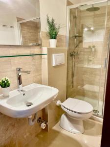 多尔梅莱托Bnbook Lago Maggiore Studio 2的浴室配有卫生间、盥洗盆和淋浴。