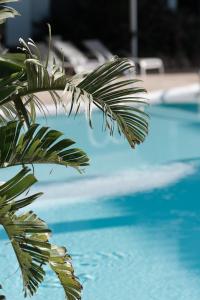 休达德亚Prinsotel La Caleta的靠近游泳池旁的棕榈树