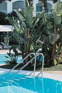 休达德亚Prinsotel La Caleta的游泳池旁的棕榈树度假村游泳池