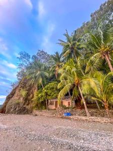 八打雁Coco Cavana Resort的棕榈树海滩上的房子