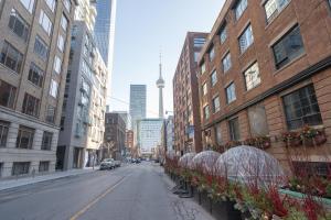多伦多Boutique Suite in Downtown Toronto, Free Parking!的一条空荡荡荡的城市街道,在圆顶上建有建筑和鲜花