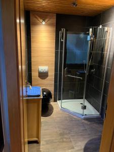 金丁Ferienhaus 32的带淋浴、盥洗盆和卫生间的浴室