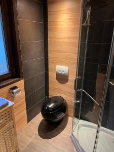金丁Ferienhaus 32的浴室里设有黑色座椅和淋浴