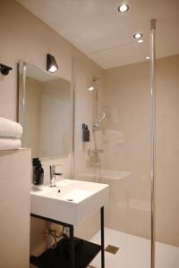 巴黎帕维侬蒙马特尔酒店的一间带水槽和淋浴的浴室