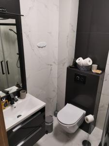 乌斯特卡Aquarius Baltico Apartment的一间带卫生间、水槽和镜子的浴室