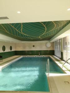 阿谢尔DOMITYS L'ALLIACEE的一个带壁画的大型游泳池