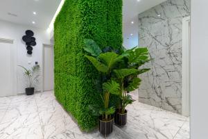 斯普利特Antares Luxury Rooms的绿墙,有植物的房间