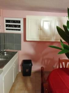 萨莱比梅Vacances agréables c'est ici的厨房设有粉红色的墙壁和白色的橱柜。