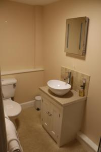 瓦伊河畔罗斯古德里奇宾馆的一间带水槽、卫生间和镜子的浴室