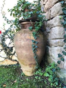 San Noto casina di caccia con piscina riscaldata的墙上有植物的大花瓶