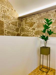 VilarQuinta Lourenca - Vila do Conde的墙上立着的植物
