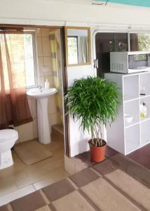 SarchíDreamcatcher House Bus Experience 2的一个带水槽和植物的拱形浴室