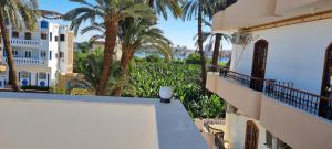 卢克索DREAM ISLAND Hotel的从棕榈树建筑的阳台上可欣赏到风景