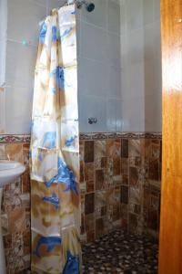 HuillanopampaINKA LAKE Taquile Lodge的浴室内配有淋浴帘。