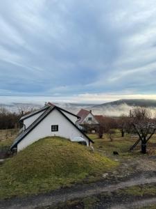 MencshelyCheerful Cottage at Balatonfelvidek Dörgicse的草山顶上的白色房子