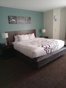 金斯波特金斯波特司丽普酒店及套房的一张大床,位于酒店带两盏灯的房间