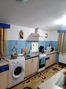 坎普朗莫道尼斯Casa Cristian的厨房配有洗衣机和水槽