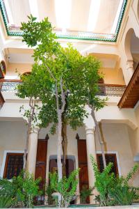 马拉喀什Riad Dar Zaouia的两棵树在一座有柱子的建筑前