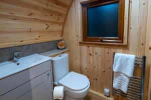 West HoathleyMissin' Link Glamping的一间带卫生间、水槽和窗户的浴室
