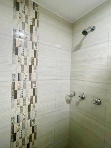 伊皮亚莱斯TRÉBOL GOLDEN HOTEL的带淋浴的浴室和玻璃门