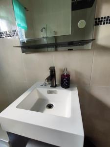波特莫尔Private Ensuite Room的浴室设有白色水槽和镜子