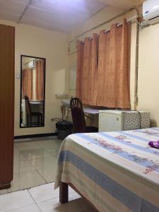 帕拉马里博Hotel Mangueira的一间卧室配有一张床、一张书桌和一面镜子