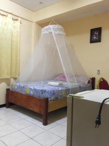 帕拉马里博Hotel Mangueira的一间卧室,配有一张带蚊帐的床