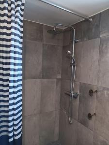 阿尔热祖尔Sunny Aljezur da Viana, (Aljezur, Costa Vicentina)的带淋浴和浴帘的浴室