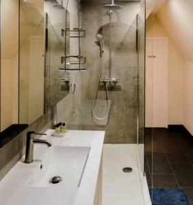 布鲁日兰花旅馆的一间带水槽和淋浴的浴室