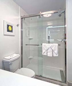丹维尔丹维尔汉普顿酒店的浴室设有玻璃淋浴间和卫生间