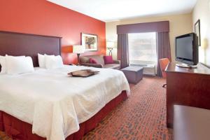沃思堡沃斯堡西I30州际公路汉普顿套房酒店的酒店客房设有一张大床和一台电视。