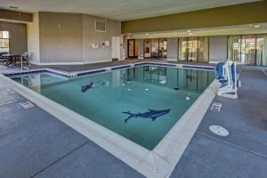 普兰菲尔德汉普顿印第安纳波利斯-SW-普朗菲尔德酒店的游泳池,上面有鲨鱼画在水面上