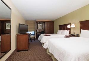 印第安纳波利斯印第安纳波利斯东北/卡斯尔顿汉普顿酒店的酒店客房设有两张床和一台平面电视。