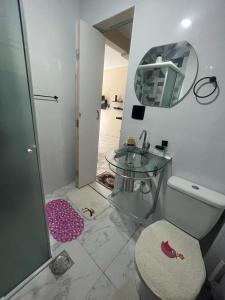 圣维森特岛Apartamento em Ilha Porchat的一间带水槽、卫生间和镜子的浴室