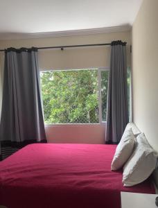 圣维森特岛Apartamento em Ilha Porchat的一间卧室设有一张大床和大窗户