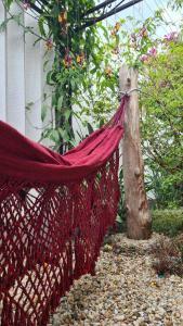 南雅拉瓜Quarto Luz的花园中树桩上的吊床