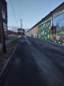 埃尔迈拉Unique Center Of Downtown Elmira的一条墙上涂鸦的空街道