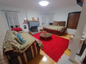 PolýdrosonCharlami's Mansion的带沙发和红色地毯的客厅