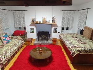 PolýdrosonCharlami's Mansion的一间带两张床和红色地毯的客厅