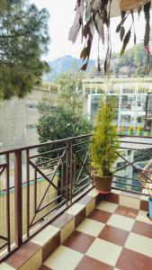 西姆拉Shimla Vibes B & B free pick & drop from ISBT Shimla的阳台,种植了两株盆栽植物,建筑