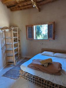 锡瓦Cafour House Siwa - Hot Spring的一间卧室设有两张床和窗户。
