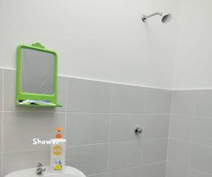 BembanUmar's Lodge的浴室设有绿色镜子和水槽
