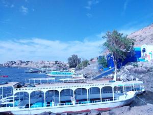 阿斯旺Azoz Nubian House的船停靠在水面上的码头