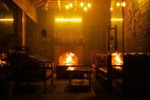 阿尔莫拉Kasar Himalaya Holiday Home, Binsar Rd的客厅设有壁炉和沙发。