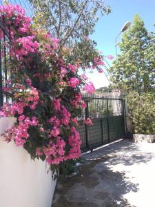 希马拉Oasis Hostel的上面有红花的黑色围栏