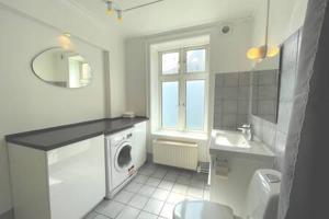 哥本哈根2 Bedroom Flat in Trendy Area的一间带水槽和洗衣机的浴室
