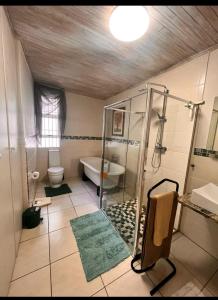 SandtonOakTree Guest House的带淋浴、浴缸和卫生间的浴室