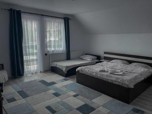 布朗Casuta cu Dumbrava的一间卧室设有两张床和窗户。