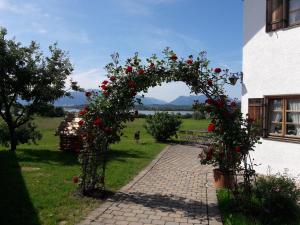 里姆斯廷格See Cafe Toni的花园中一个红色玫瑰覆盖的拱门